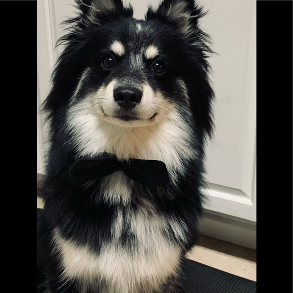 Meet your Posher, Kati - Picture 3 of 13